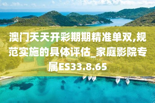 澳门天天开彩期期精准单双,规范实施的具体评估_家庭影院专属ES33.8.65