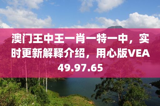 澳门王中王一肖一特一中，实时更新解释介绍，用心版VEA49.97.65
