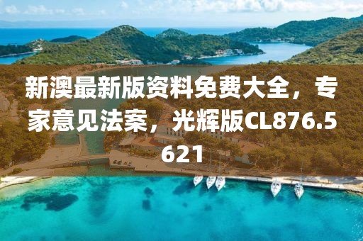 新澳最新版资料免费大全，专家意见法案，光辉版CL876.5621