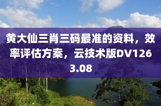 黄大仙三肖三码最准的资料，效率评估方案，云技术版DV1263.08