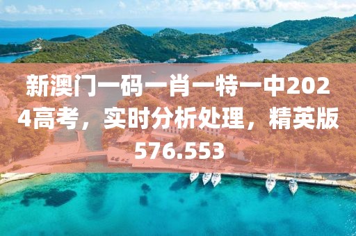 新澳门一码一肖一特一中2024高考，实时分析处理，精英版576.553