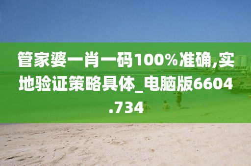 管家婆一肖一码100%准确,实地验证策略具体_电脑版6604.734
