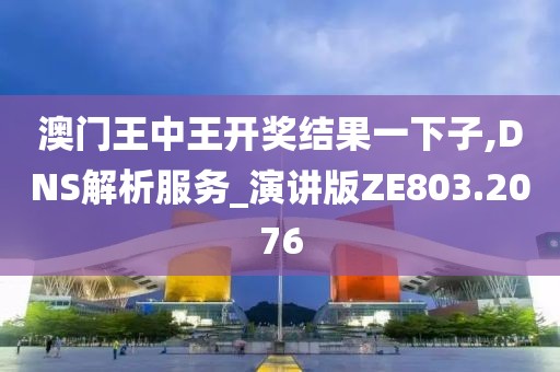 澳门王中王开奖结果一下子,DNS解析服务_演讲版ZE803.2076