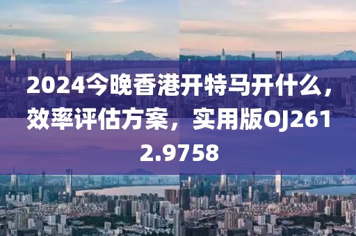 2024今晚香港开特马开什么，效率评估方案，实用版OJ2612.9758