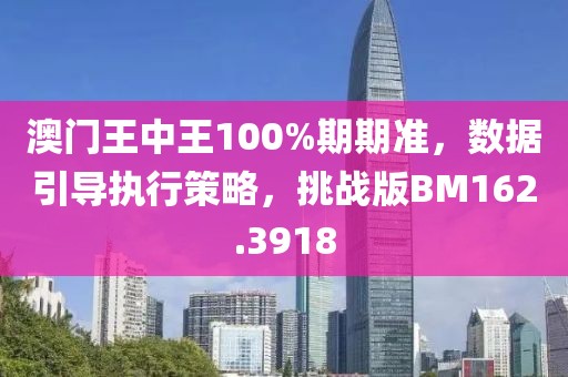 澳门王中王100%期期准，数据引导执行策略，挑战版BM162.3918