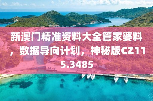 新澳门精准资料大全管家婆料，数据导向计划，神秘版CZ115.3485