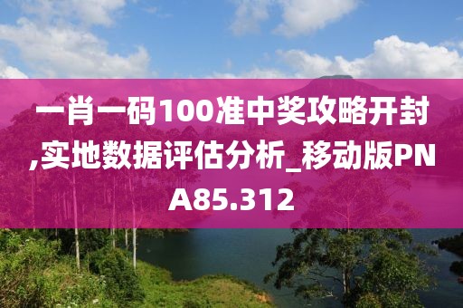 一肖一码100准中奖攻略开封,实地数据评估分析_移动版PNA85.312