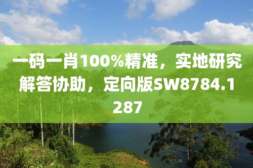 一码一肖100%精准，实地研究解答协助，定向版SW8784.1287