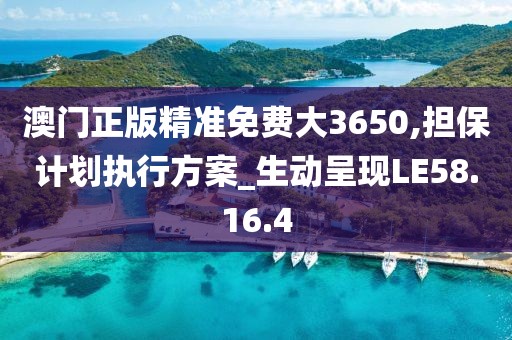 澳门正版精准免费大3650,担保计划执行方案_生动呈现LE58.16.4