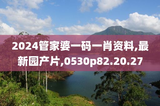 2024管家婆一码一肖资料,最新园产片,0530p82.20.27