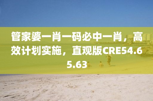 管家婆一肖一码必中一肖，高效计划实施，直观版CRE54.65.63