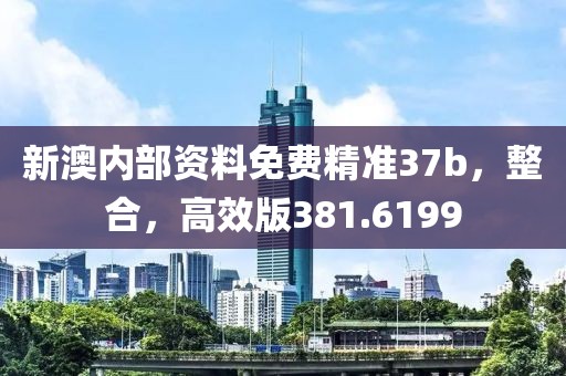 新澳内部资料免费精准37b，整合，高效版381.6199