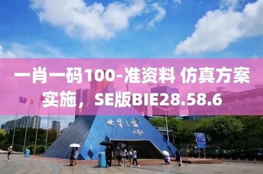一肖一码100-准资料 仿真方案实施，SE版BIE28.58.6