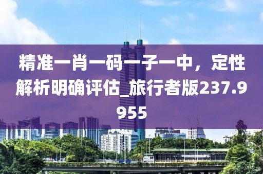精准一肖一码一子一中，定性解析明确评估_旅行者版237.9955