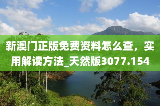 新澳门正版免费资料怎么查，实用解读方法_天然版3077.154