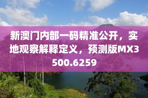 新澳门内部一码精准公开，实地观察解释定义，预测版MX3500.6259
