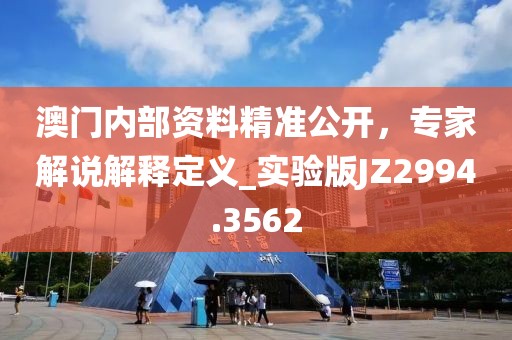 澳门内部资料精准公开，专家解说解释定义_实验版JZ2994.3562