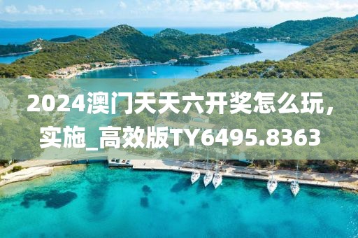 2024澳门天天六开奖怎么玩，实施_高效版TY6495.8363