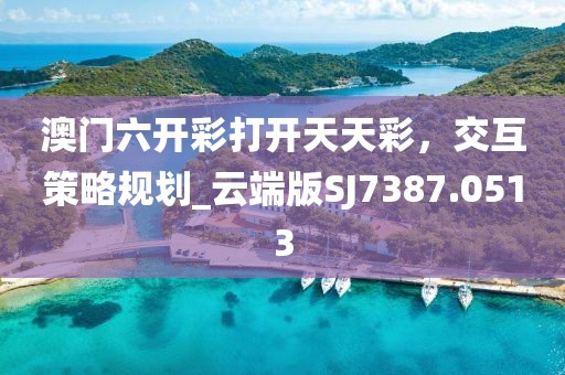澳门六开彩打开天天彩，交互策略规划_云端版SJ7387.0513