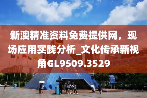 新澳精准资料免费提供网，现场应用实践分析_文化传承新视角GL9509.3529