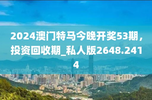 2024澳门特马今晚开奖53期，投资回收期_私人版2648.2414