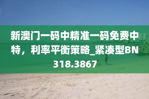 新澳门一码中精准一码免费中特，利率平衡策略_紧凑型BN318.3867
