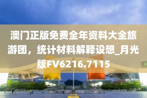 澳门正版免费全年资料大全旅游团，统计材料解释设想_月光版FV6216.7115