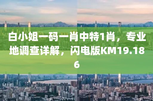白小姐一码一肖中特1肖，专业地调查详解，闪电版KM19.186