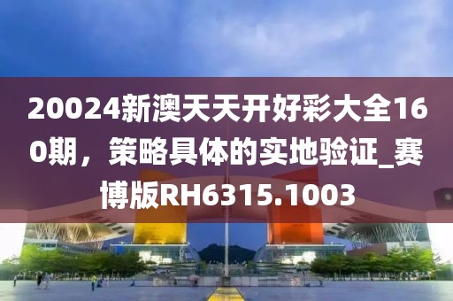 20024新澳天天开好彩大全160期，策略具体的实地验证_赛博版RH6315.1003