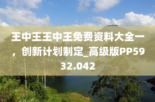 王中王王中王免费资料大全一，创新计划制定_高级版PP5932.042