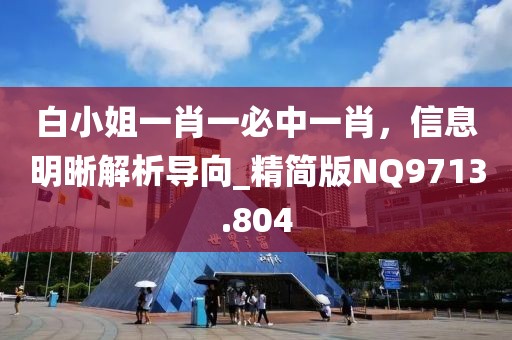 白小姐一肖一必中一肖，信息明晰解析导向_精简版NQ9713.804
