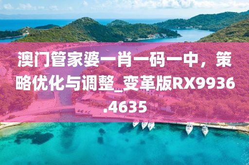澳门管家婆一肖一码一中，策略优化与调整_变革版RX9936.4635