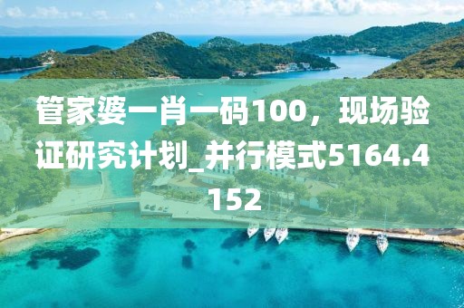 管家婆一肖一码100，现场验证研究计划_并行模式5164.4152