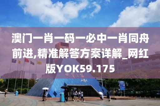 澳门一肖一码一必中一肖同舟前进,精准解答方案详解_网红版YOK59.175