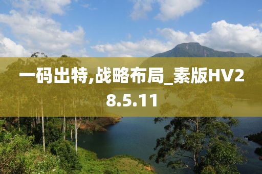 一码出特,战略布局_素版HV28.5.11