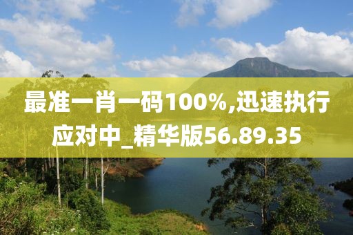 最准一肖一码100%,迅速执行应对中_精华版56.89.35