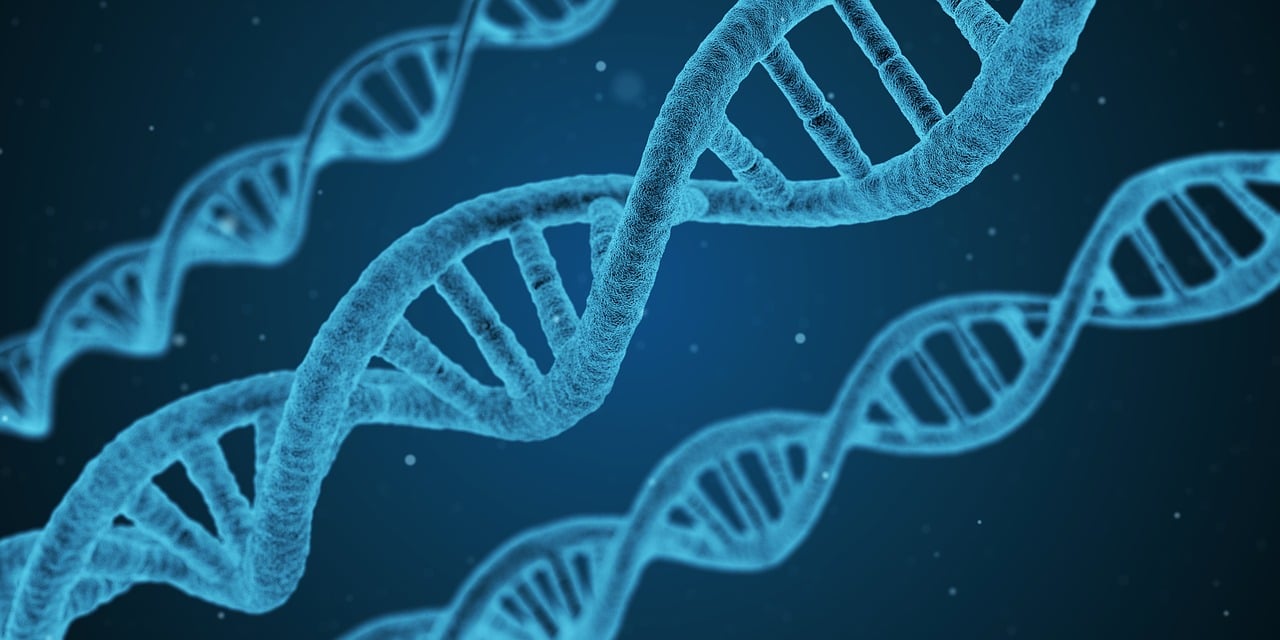 2024年正版资料免费大全最新版本,实证案例研究_开放模式AS90.52.83