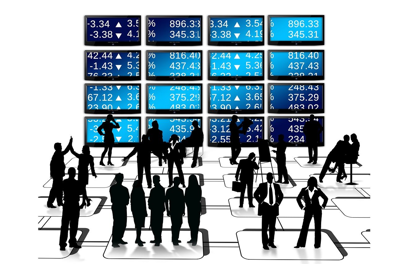 2024澳门天天开好彩大全65期，信息解释的全面定义_未来展望EE8979.9028